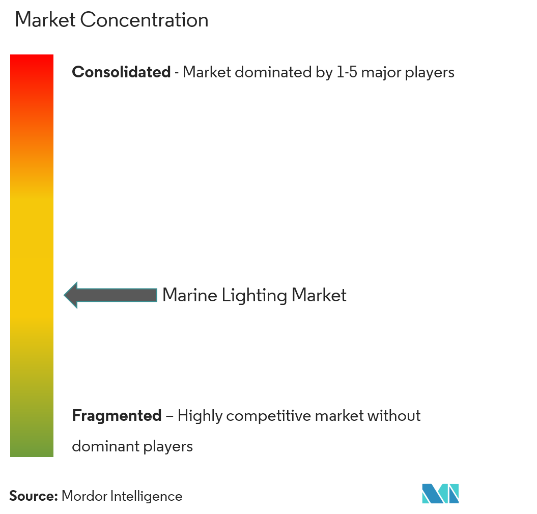 Marine Lighting Market Concentration